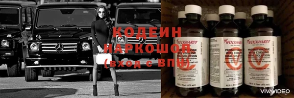 прущие грибы Аркадак