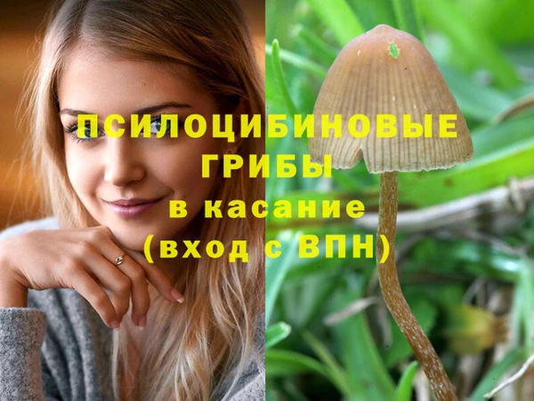 прущие грибы Аркадак