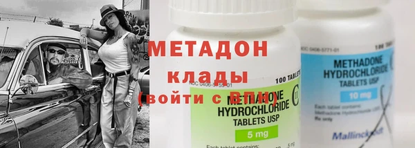 прущие грибы Аркадак