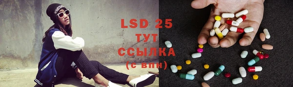 прущие грибы Аркадак