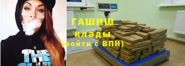 прущие грибы Аркадак