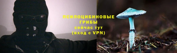 прущий лед Арсеньев