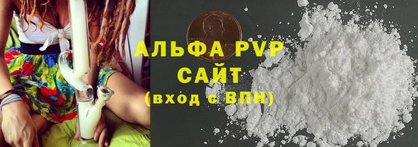 прущие грибы Аркадак