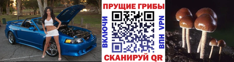 Галлюциногенные грибы мухоморы  Петушки 